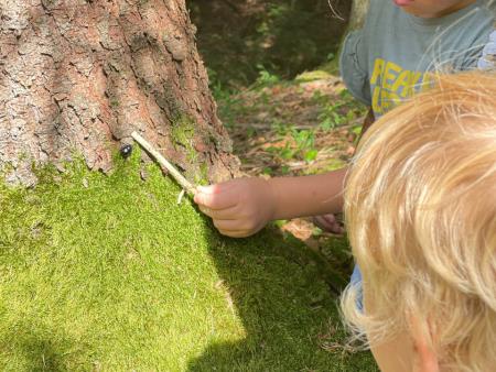 Pohodniški vikend v tuhinjski dolini z novimi gozdnimi doživetji (2)